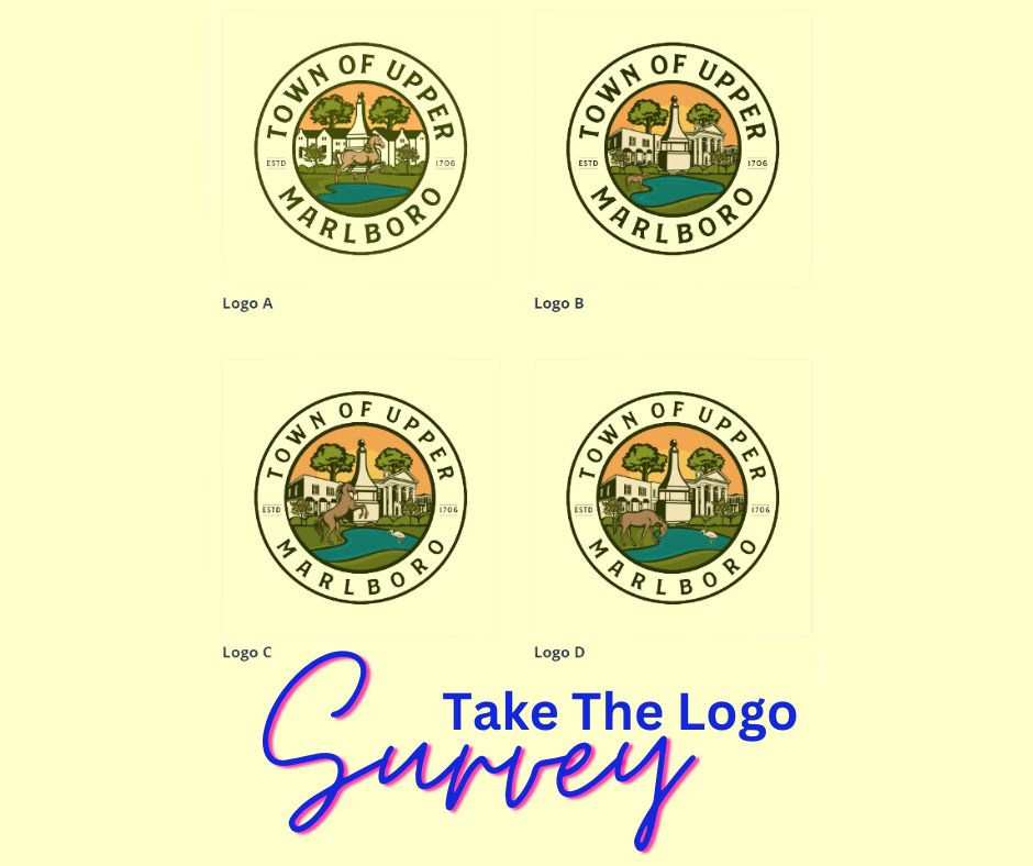Logo Survey